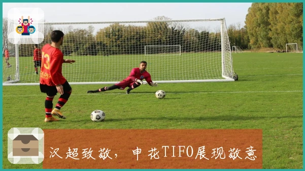 汉超致敬，申花TIFO展现敬意