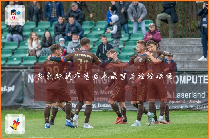 热刺球迷在落后水晶宫后纷纷退场