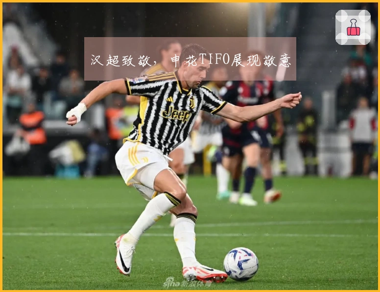 汉超致敬，申花TIFO展现敬意